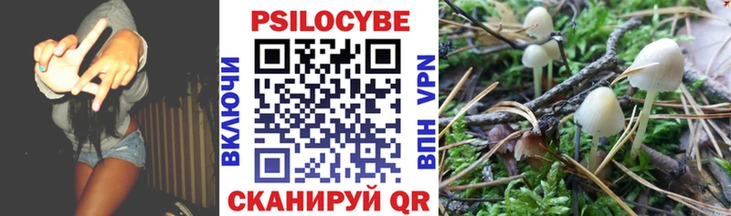 как найти наркотики Корсаков Псилоцибиновые грибы Psilocybe