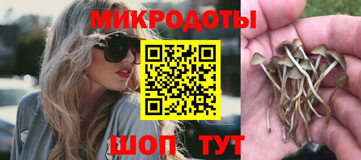 купить  сайты  Псилоцибиновые грибы Psilocybe  Вход с VPN  Галлюциногенные грибы прущие грибы  Корсаков 